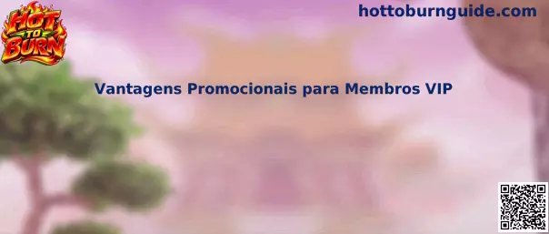 Vantagens VIP
