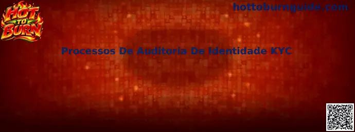 Processos De Auditoria De Identidade KYC em Hot To Burn