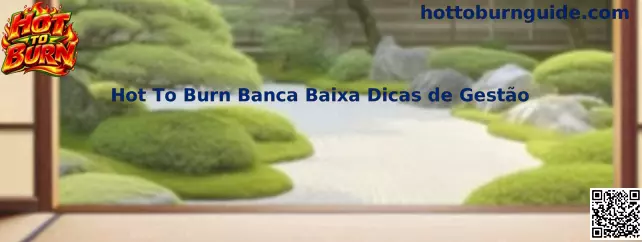 Hot To Burn Banca Baixa Dicas de Gestão